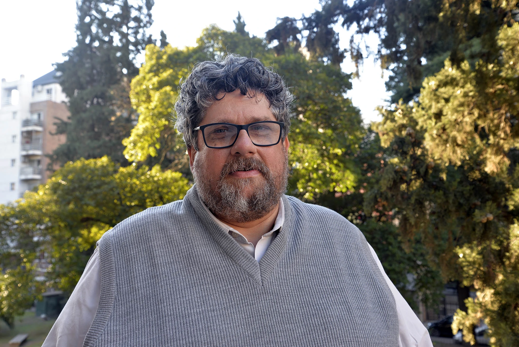 Professor Doutor André Porto Ancona Lopez